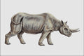 684040 Arsinoitherium, Mammal, Oligocene A4 Photo Print