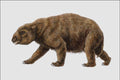 684041 Diprotodon, Mammal, Pleistocene A4 Photo Print
