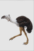 684047 Phororhacos, Mammal, Tertiary A4 Photo Print