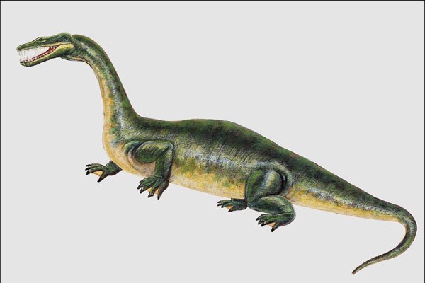 684055 Nothosaurus, Reptile, Triassic A4 Photo Print