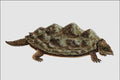 684062 Proganochelys, Reptile, Triassic A4 Photo Print