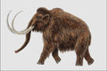 684067 Wooly Mammoth, Mammal, Pleistocene A4 Photo Print