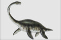 684068 Plesiosaurus, Reptile, Miocene A4 Photo Print