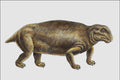 684070 Dicynodonts, Reptile, Permian And Triassic A4 Photo Print