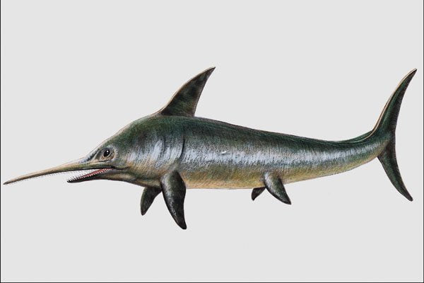 684072 Eurhinosaurus, Fish, Mesozoic A4 Photo Print