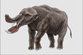 684073 Platybelodon, Mammal, Miocene And Pliocene A4 Photo Print