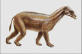 684077 Coryphodon, Mammal, Eocene A4 Photo Print