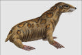 684080 Allodesmus, Mammal, Miocene A4 Photo Print