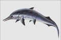 684086 Mixosaurus, Fish, Triassic And Jurassic A4 Photo Print