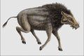 684087 Entelodon, Mammal, Oligocene A4 Photo Print
