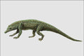 684096 Protosuchus, Reptile, Triassic A4 Photo Print