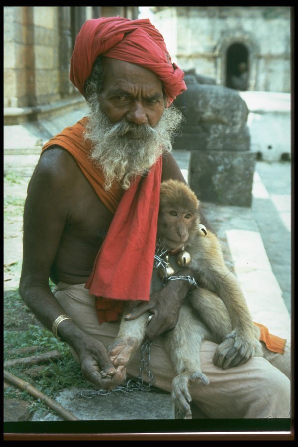 685001 In Pashupathi Temple, Nepal A4 Photo Print
