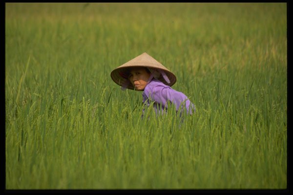 685007 Mai Chau, Vietnam A4 Photo Print