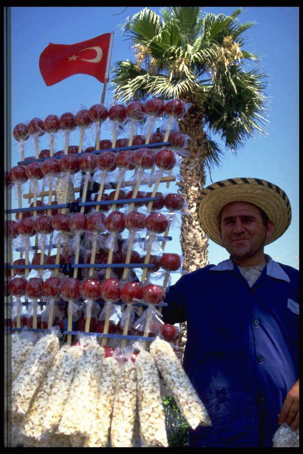685014 Turkey A4 Photo Print