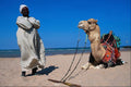 685065 Local And Camel, Hurghada, Egypt A4 Photo Print