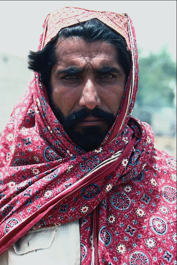 685082 Camel Herder, Lower Sind, Southern Pakistan A4 Photo Print