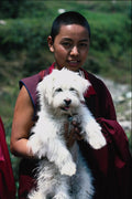 685092 Female Monk, Rumtex Dharma Chakra Monastery, Northern India A4 Photo Print