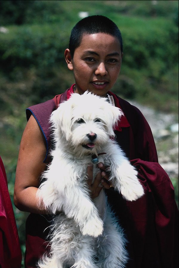 685092 Female Monk, Rumtex Dharma Chakra Monastery, Northern India A4 Photo Print