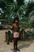 685096 Khmer Minority Boy Transporting Sugar Cane, Vietnam A4 Photo Print