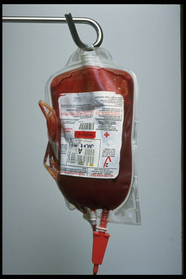 686003 Blood Bag A4 Photo Print