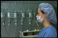 686005 Technician In Lab A4 Photo Print