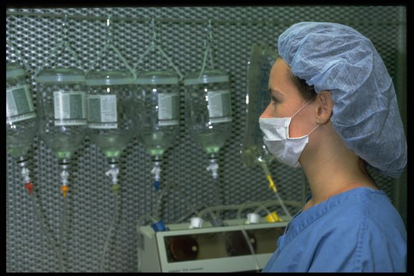 686005 Technician In Lab A4 Photo Print