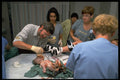 686022 Newborn Baby A4 Photo Print