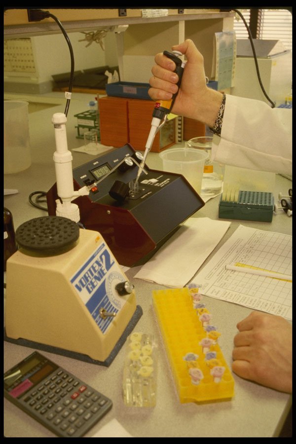 686039 Preparing Human DNA Sample For Forensic Analysis A4 Photo Print