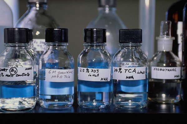 686056 Laboratory Bottles A4 Photo Print