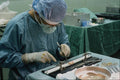 686065 Preparing Ligament For Surgery A4 Photo Print
