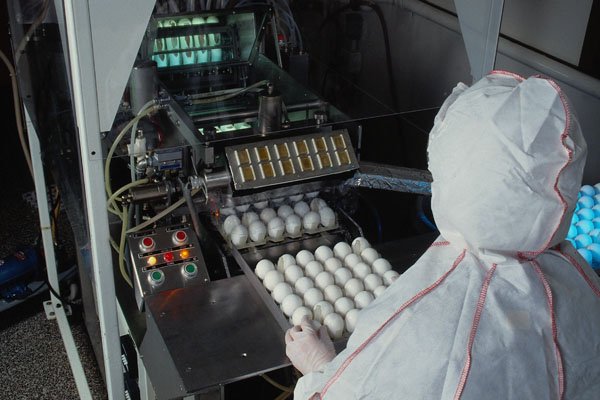 686075 Pharmaceutical Research A4 Photo Print