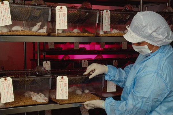 686077 Pharmaceutical Research A4 Photo Print