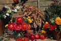 687003 Peonies, Dahlias, Coleus A4 Photo Print