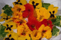 687006 Nasturtiums A4 Photo Print