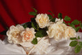 687008 White Roses A4 Photo Print
