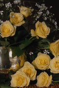 687009 Yellow Roses A4 Photo Print