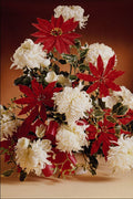 687017 Christmas Decoration Flowers A4 Photo Print