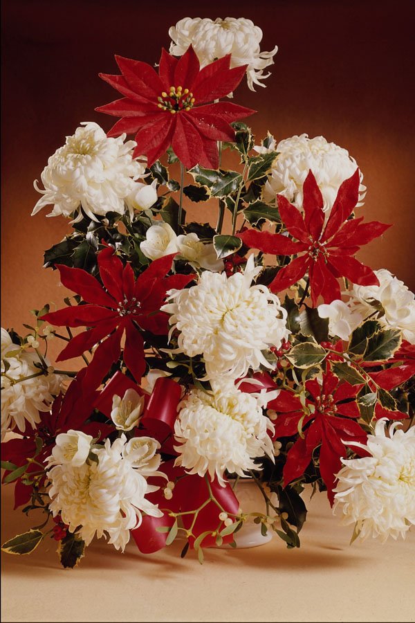 687017 Christmas Decoration Flowers A4 Photo Print