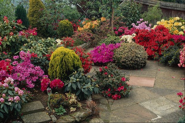 687020 Multicolored Garden With Path A4 Photo Print