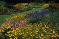 687021 Multicolored Garden With Lawn Path A4 Photo Print