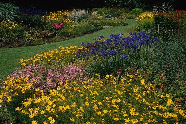 687021 Multicolored Garden With Lawn Path A4 Photo Print