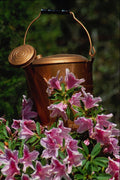 687037 Azaleas And Watering Can A4 Photo Print