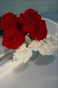 687038 Carnations On Silk A4 Photo Print