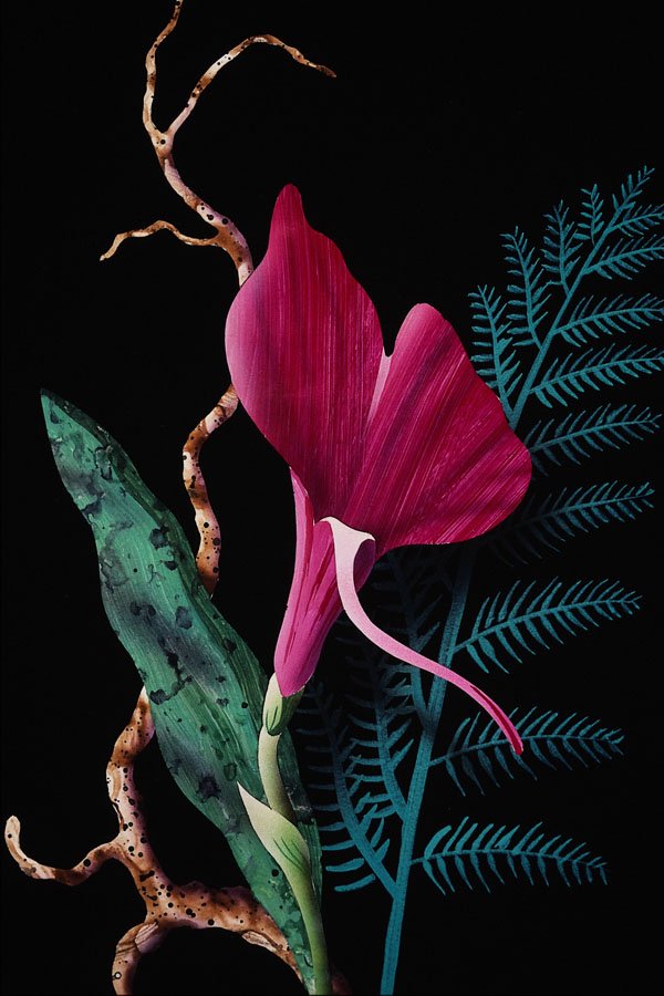 687039 Tropical Magenta A4 Photo Print
