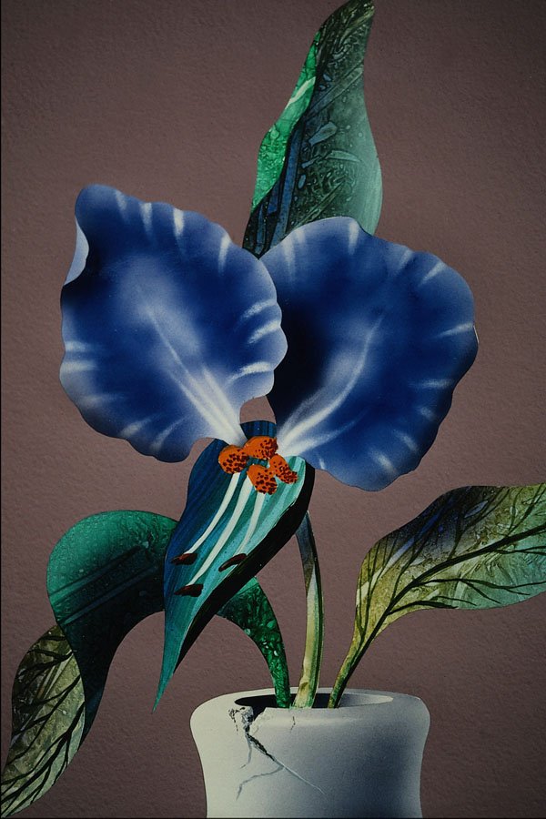 687040 Dayflower A4 Photo Print