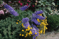 687055 Flowerbeds On The Grounds Of Hadden Hall, England A4 Photo Print