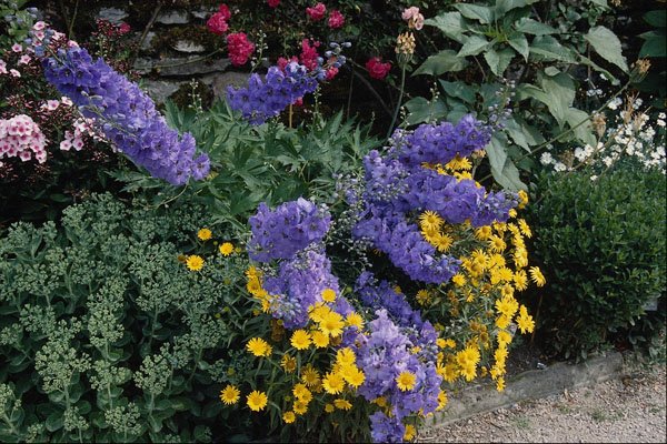 687055 Flowerbeds On The Grounds Of Hadden Hall, England A4 Photo Print