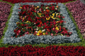 687061 Flower Garden, Durham City A4 Photo Print