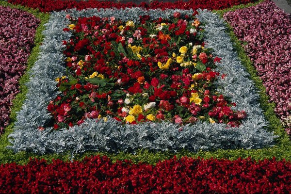 687061 Flower Garden, Durham City A4 Photo Print