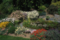 687065 Pond With Cistus And Skanbergh, Anthemis Copaniana A4 Photo Print
